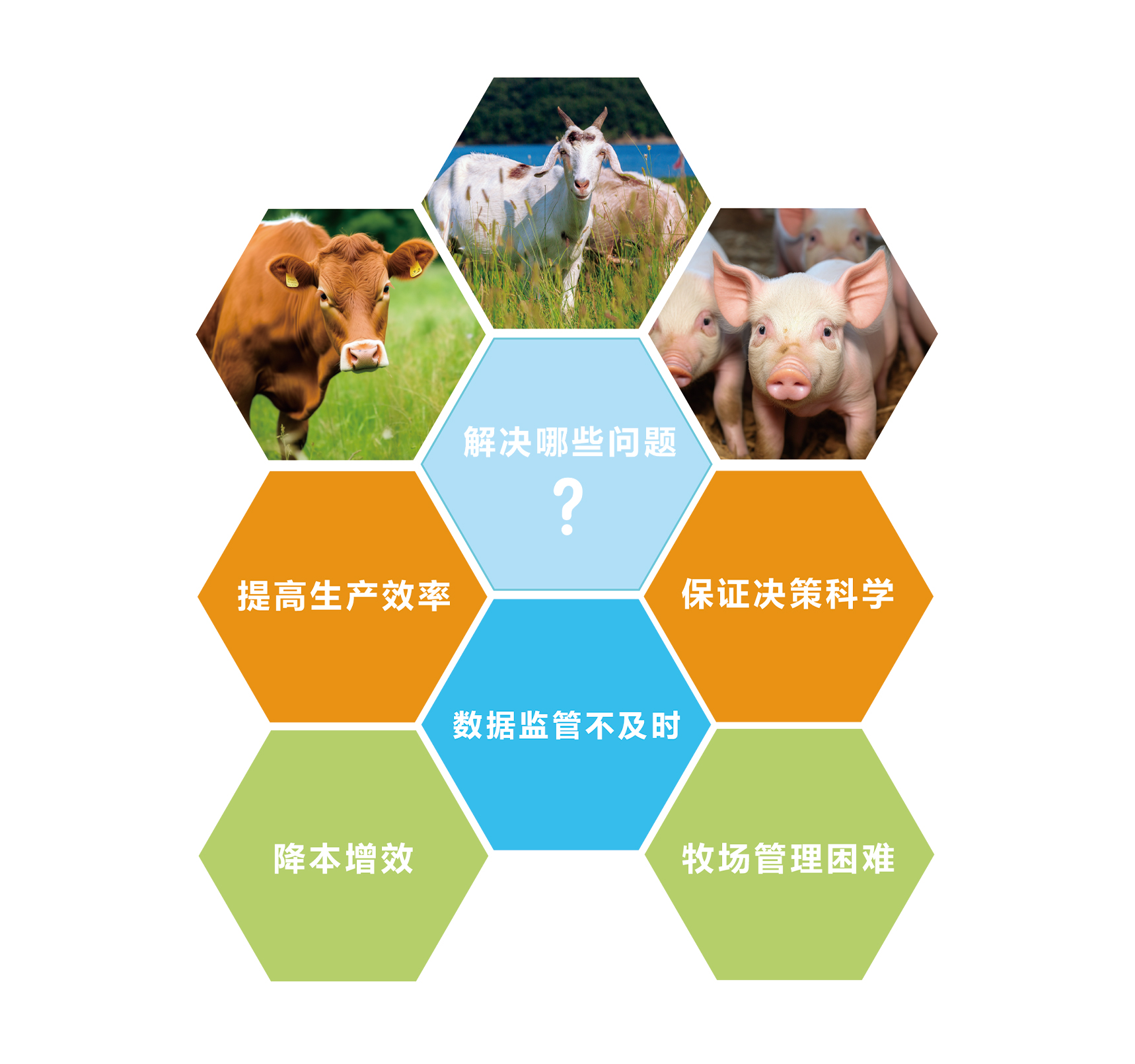 瑞佰創(chuàng)物聯(lián)科技