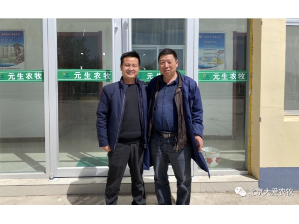 奶綿羊管理系統(tǒng)