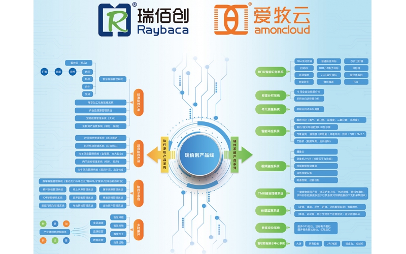 2025政府工作報告解讀：科技創(chuàng)新引領(lǐng)未來，瑞佰創(chuàng)物聯(lián)助力智慧新時代！
