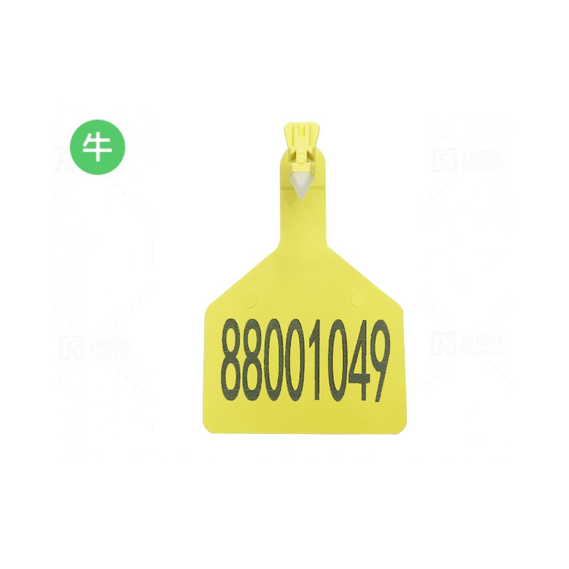 RBC-ETP14-白頭